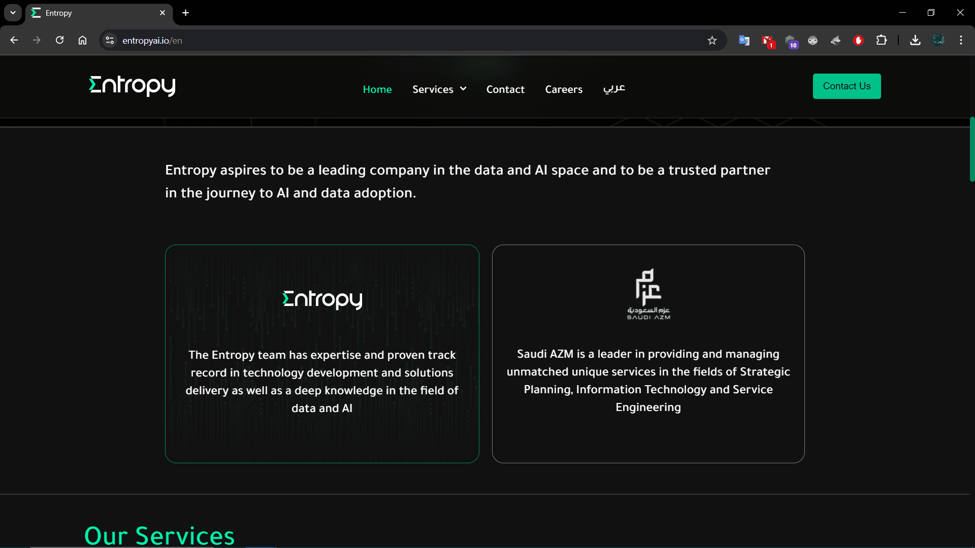 Entropy Compny Website screenshot