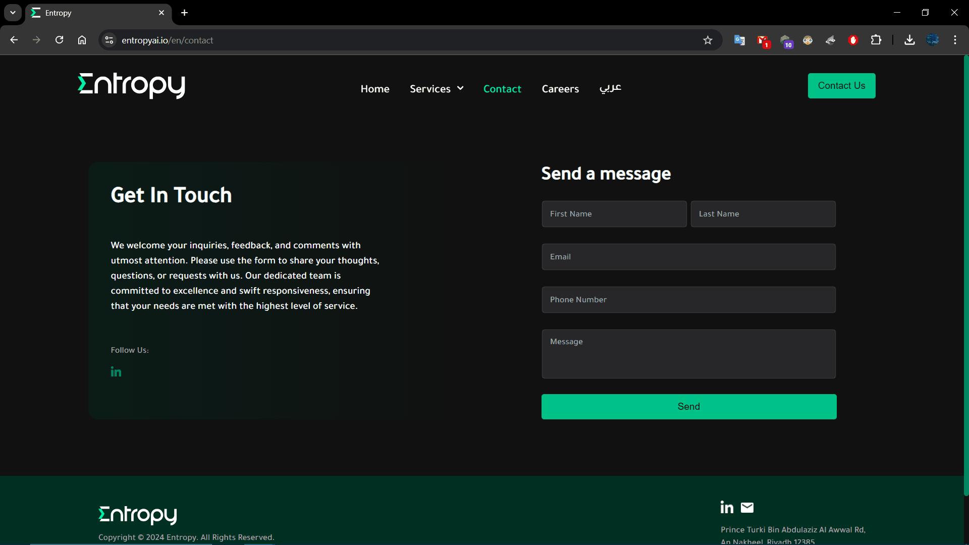 Entropy Compny Website screenshot