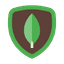 MongoDB